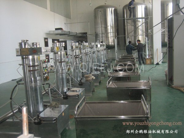 核桃油提取設(shè)備 企鵝牌核桃油設(shè)備 質(zhì)優(yōu)價(jià)好！(圖2)