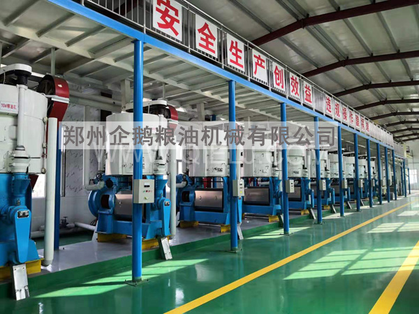 油脂精煉成套設(shè)備，企鵝糧油機(jī)械 品質(zhì)優(yōu)良+技術(shù)成熟(圖1)