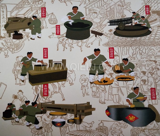 芝麻油提取加工，企鵝糧油機(jī)械生產(chǎn)色香味俱佳的油脂(圖2)